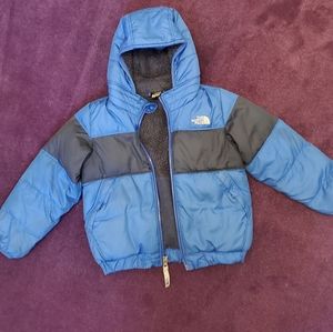 Northface Toddler's Winter coat